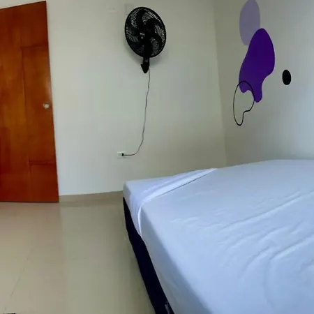 204 Apartment